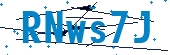 recaptcha