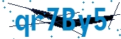 recaptcha