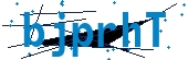 recaptcha