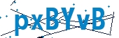 recaptcha
