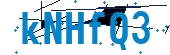 recaptcha
