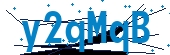 recaptcha