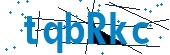 recaptcha