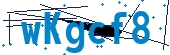 recaptcha