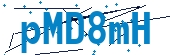 recaptcha