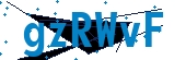 recaptcha