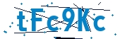 recaptcha