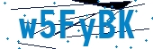 recaptcha