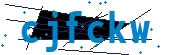 recaptcha