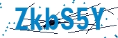 recaptcha