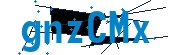 recaptcha