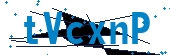 recaptcha
