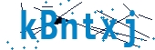recaptcha