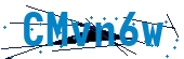 recaptcha