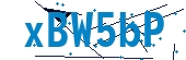 recaptcha