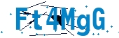 recaptcha