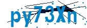 recaptcha