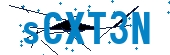 recaptcha