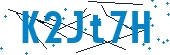 recaptcha