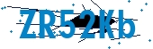 recaptcha